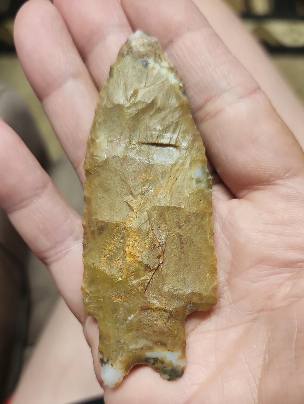 High Grade JESPERIZED Chert Brown Fossil Stone - Brown - Picture 5 of 16